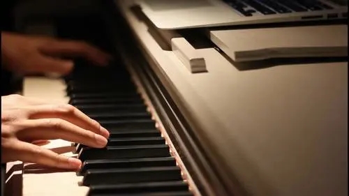 2023张丹苏莹莹郑州音乐会（11月11日）演出安排（时间、地点、票价、订票）