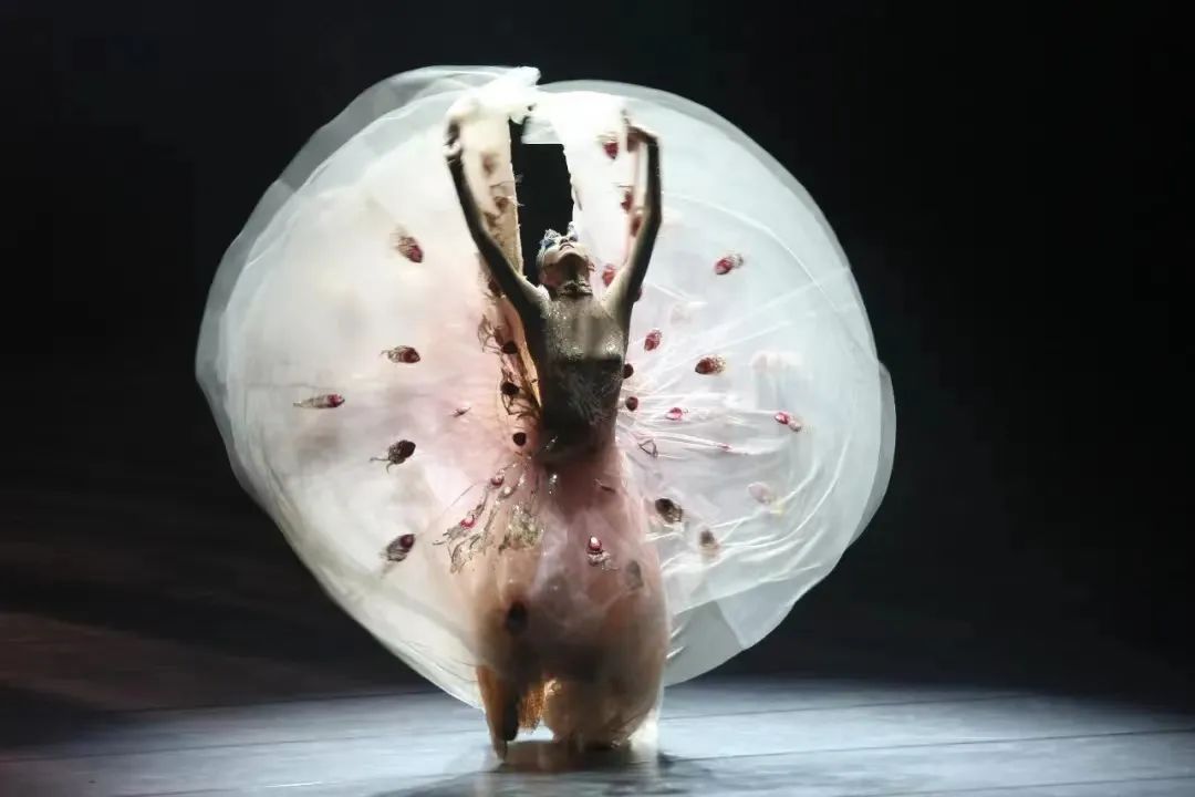 2024舞剧《孔雀》北京站（1月18日-20日）演出安排（时间、地点、票价、订票）