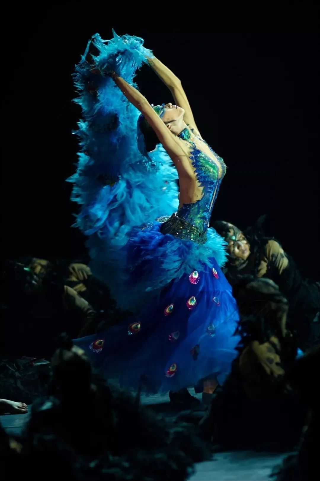 2024舞剧《孔雀》北京站（1月18日-20日）演出安排（时间、地点、票价、订票）