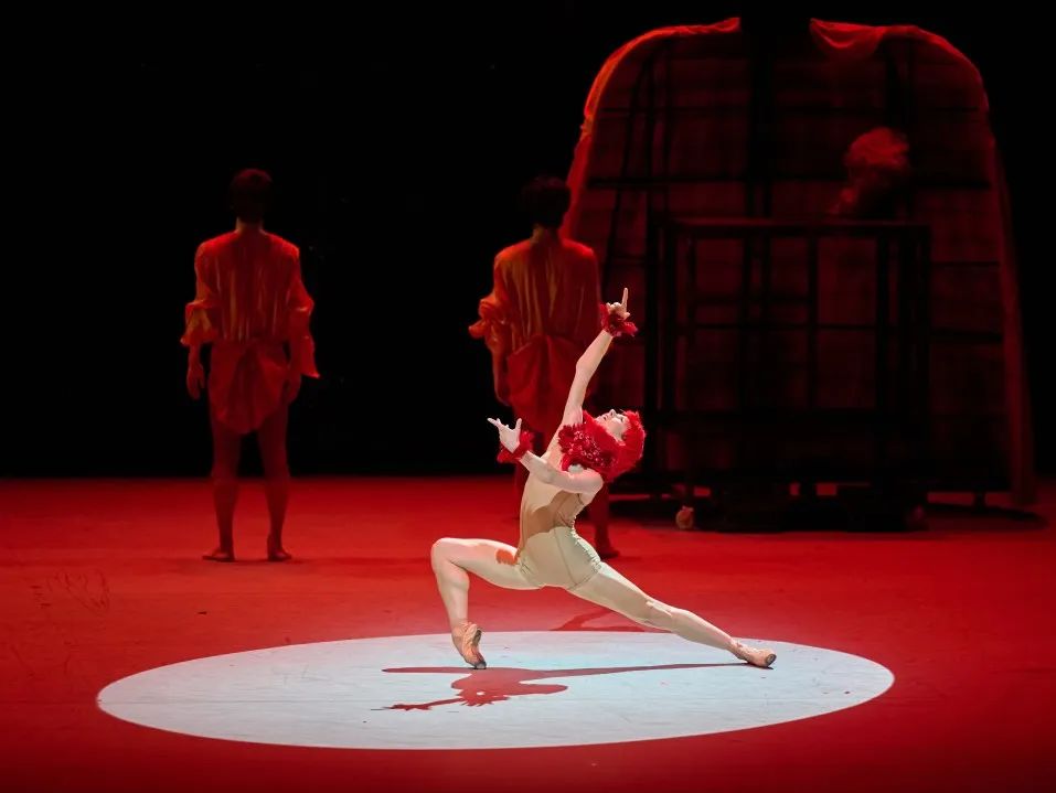 2023舞剧《布兰诗歌》成都站(11月15日)时间、地点、门票价格 2023舞剧《布兰诗歌》成都站(11月15日)时间、地点、门票价格