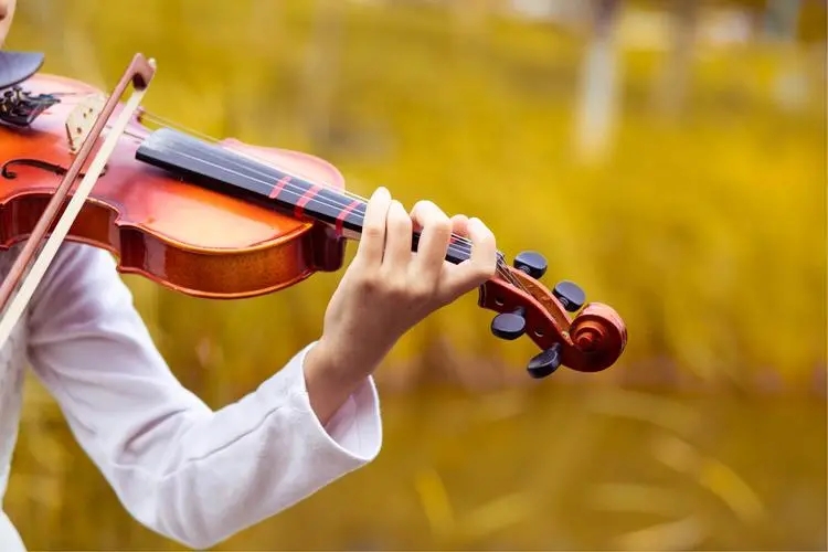 2023张丹苏莹莹郑州音乐会（11月11日）时间地点、门票价格、演唱详情