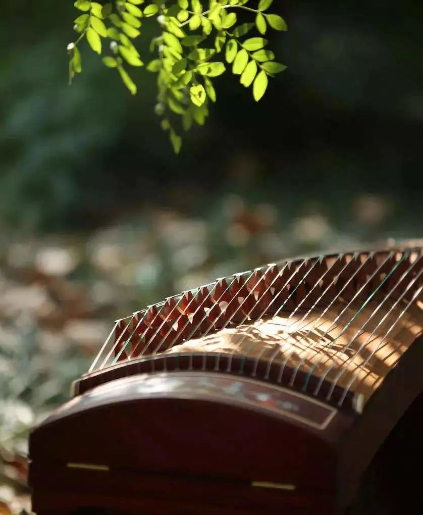 2023王中山厦门古筝音乐会（12月2日）时间、地点、门票价格