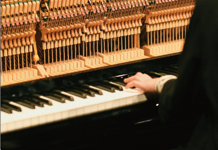 2023巫娜X李带菓深圳音乐会(12月10日)门票价格是多少?在哪买票? 2023巫娜X李带菓深圳音乐会(12月10日)门票价格是多少?在哪买票?