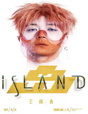 王栎鑫上海演唱会