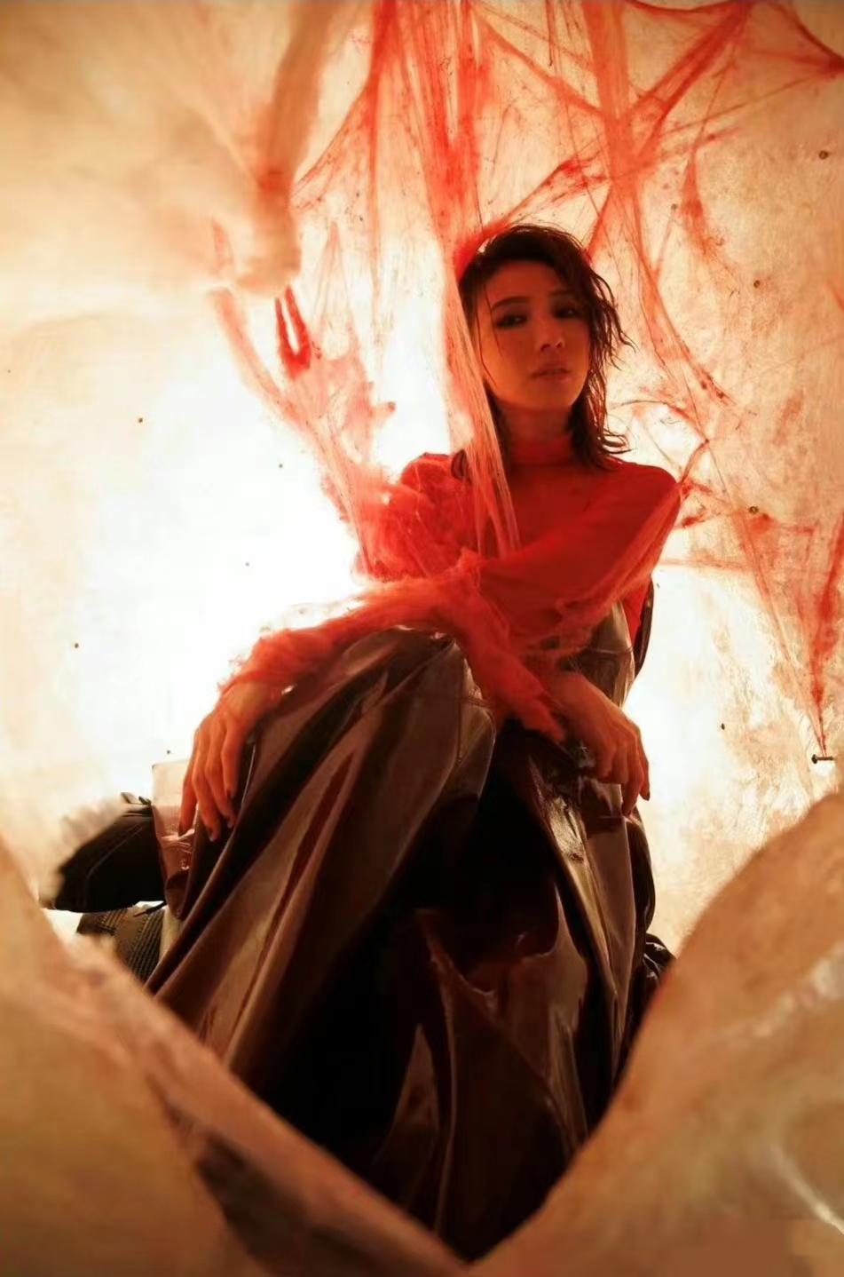 2023戴佩妮成都演唱会(11月18日)(时间+地点+票价+购票入口) 2023戴佩妮成都演唱会(11月18日)(时间+地点+票价+购票入口)