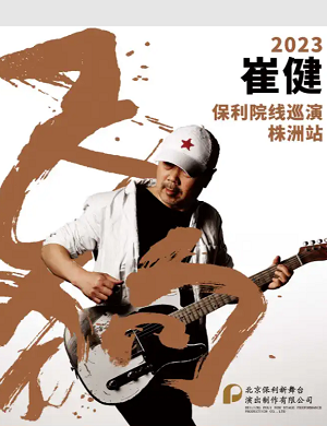 2025崔健株洲演唱会