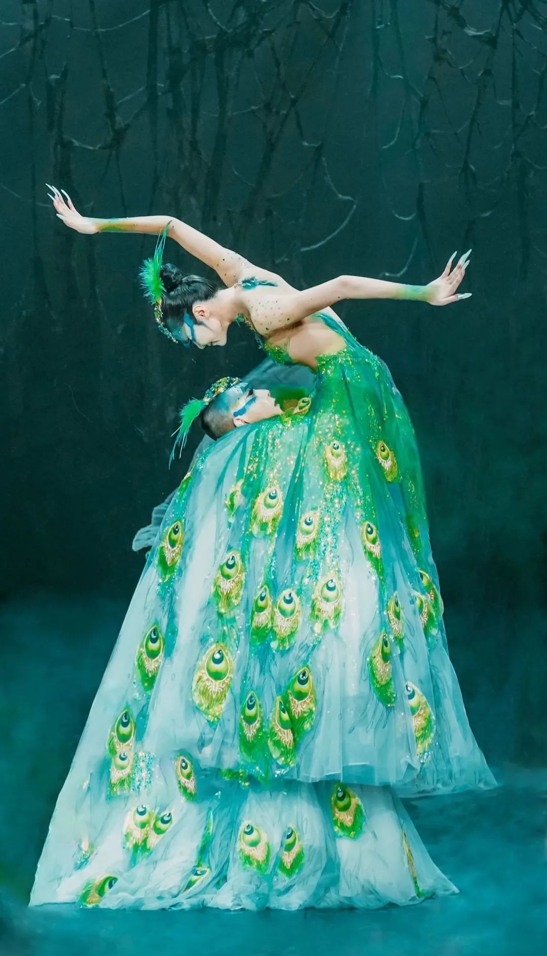 2024舞剧《孔雀》石家庄站（1月5/6日）时间、地点、门票价格