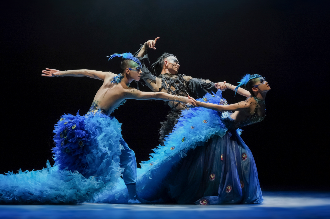2024舞剧《孔雀》石家庄站（1月5/6日）时间、地点、门票价格