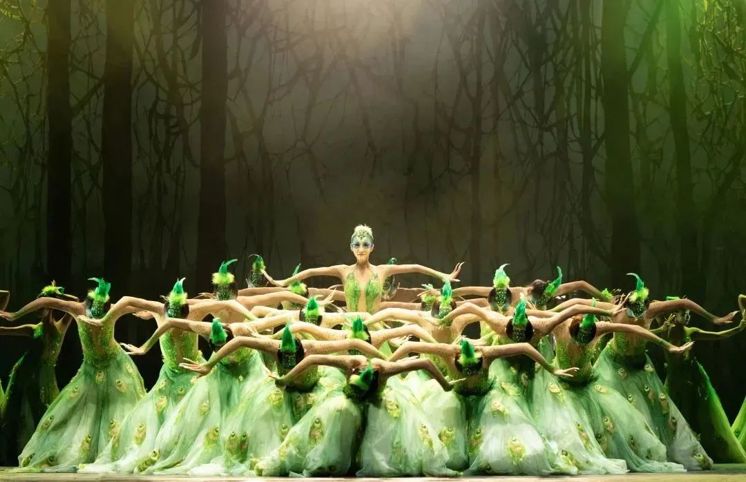 2024舞剧《孔雀》石家庄站（1月5/6日）时间、地点、门票价格