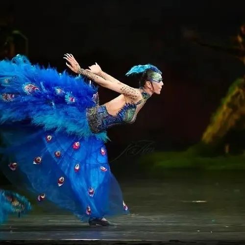 2024舞剧《孔雀》石家庄站（1月5日/6日）订票方式及购票入口