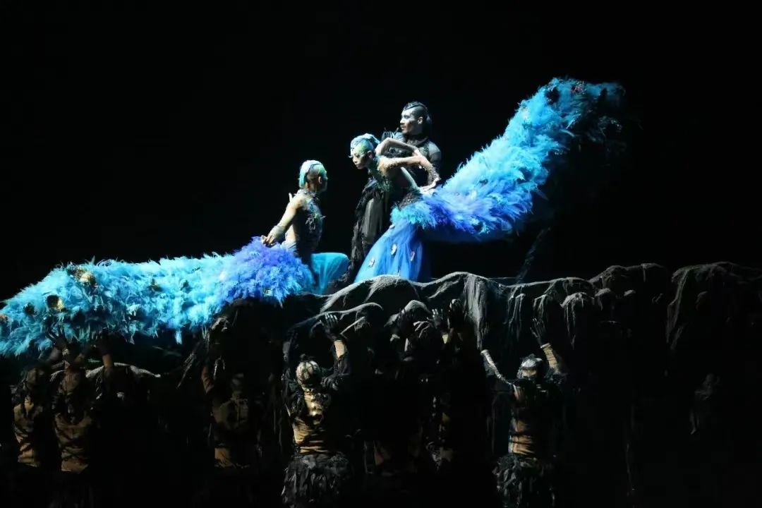 2024舞剧《孔雀》石家庄站（1月5日/6日）订票方式及购票入口