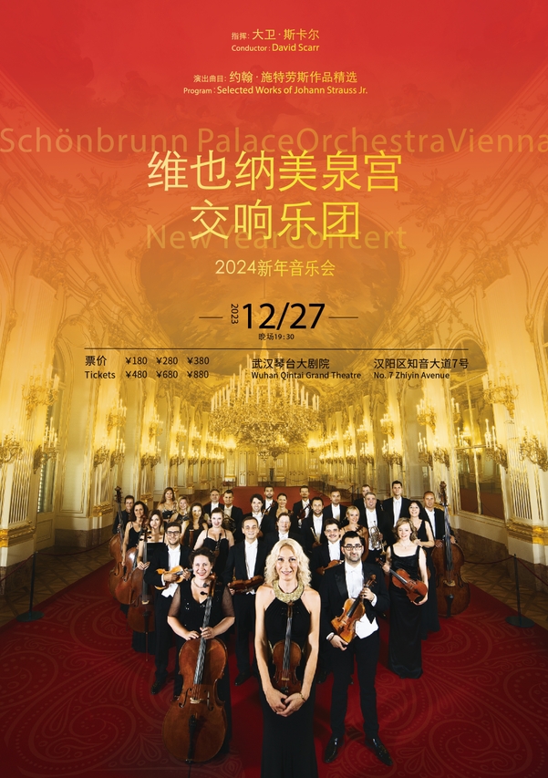 2025维也纳武汉音乐会