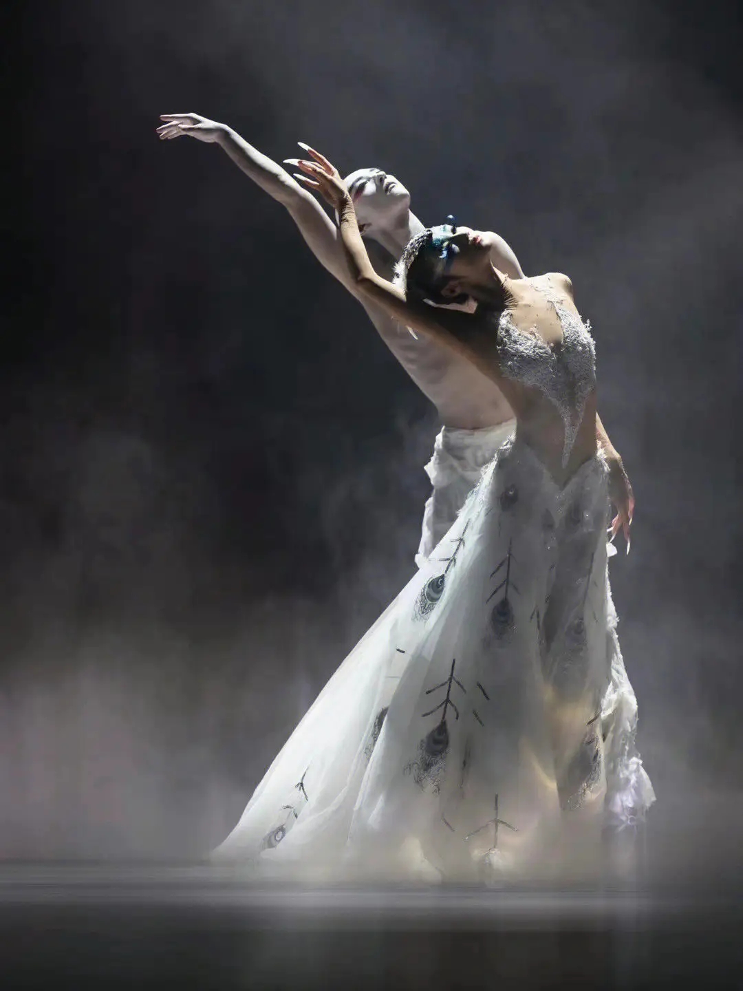 2024舞剧《孔雀》石家庄站（1月5-6日）门票在哪买？