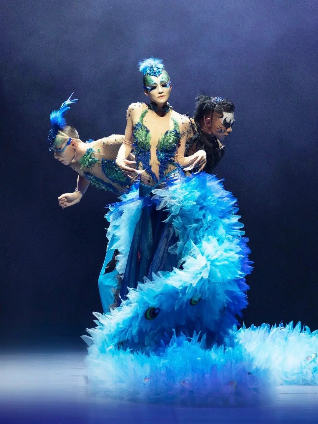 2024舞剧《孔雀》石家庄站（1月5-6日）门票在哪买？