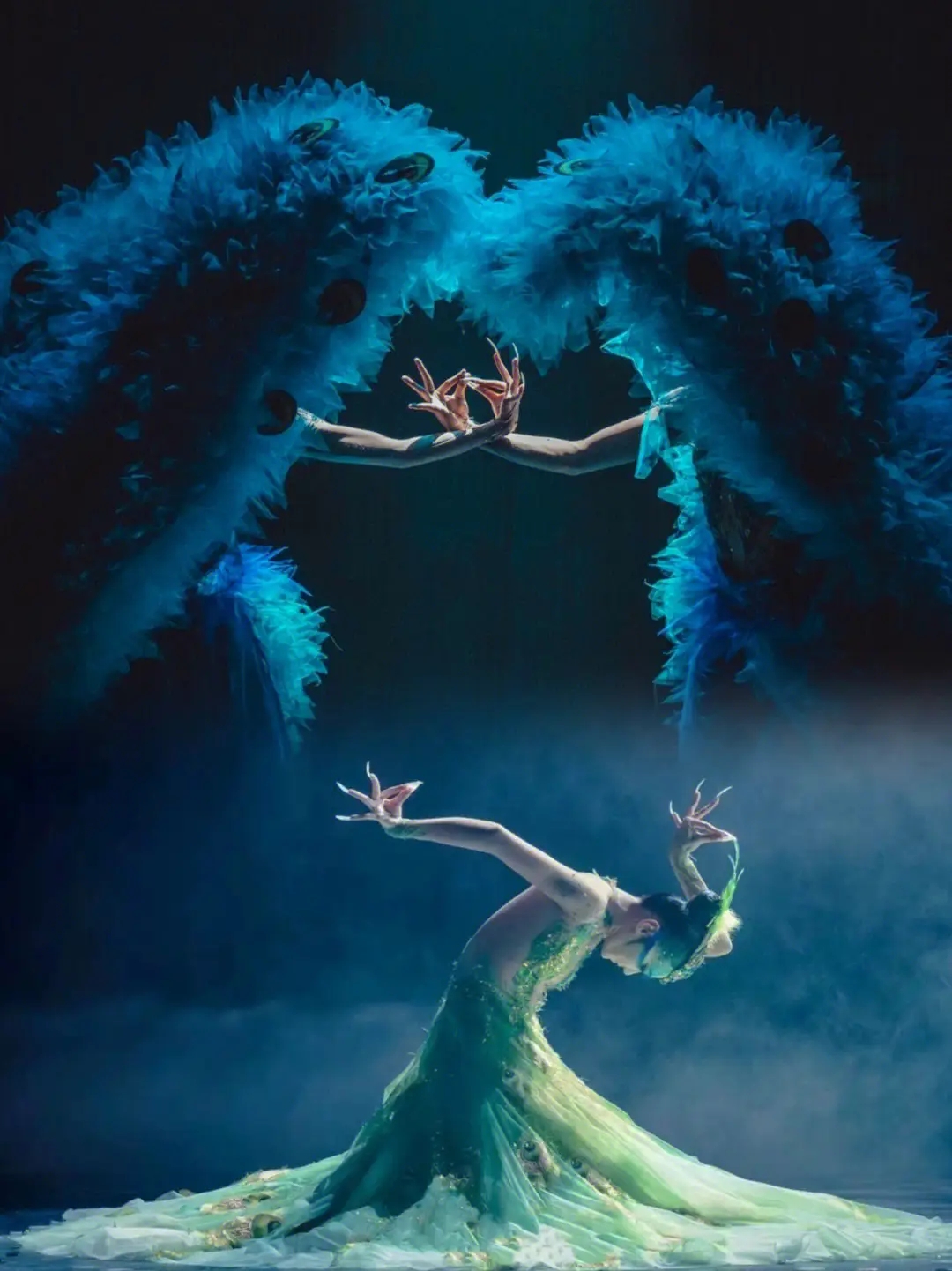 2024舞剧《孔雀》石家庄站（1月5-6日）门票在哪买？