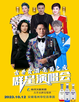 2025亳菊之夜亳州群星演唱会