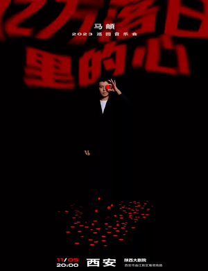 马頔西安演唱会