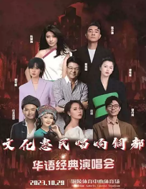 2025华语乐铜陵群星演唱会