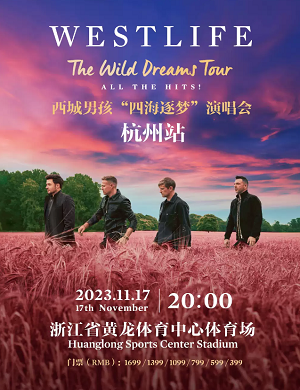 西城男孩杭州演唱会