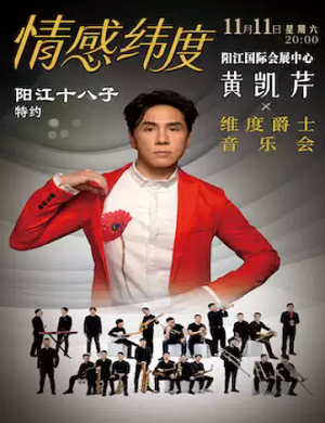 2025黄凯芹阳江演唱会