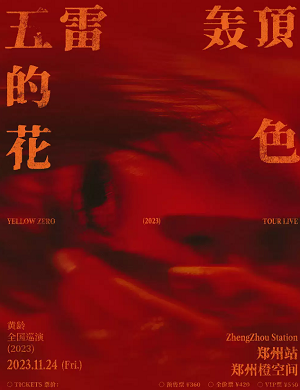 黄龄郑州演唱会