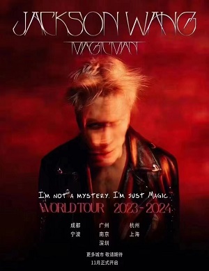 2025王嘉尔武汉演唱会