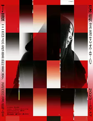 丁薇深圳演唱会