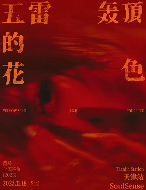 2025黄龄天津演唱会