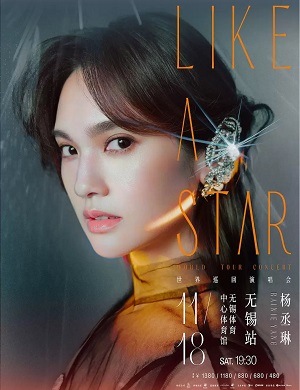 2025杨丞琳无锡演唱会