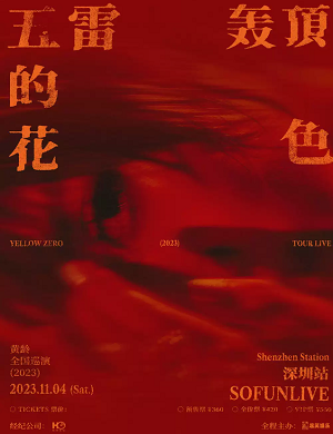 黄龄深圳演唱会