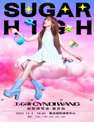 王心凌重庆演唱会