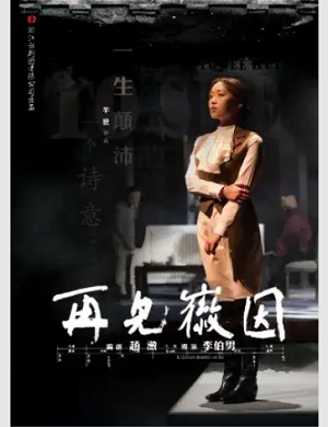 2025话剧再见徽因杭州站