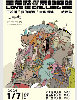 王若琳武汉演唱会