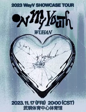 威神V武汉演唱会