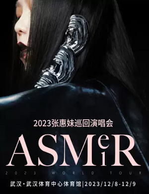 张惠妹武汉演唱会
