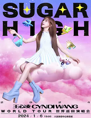 王心凌大连演唱会