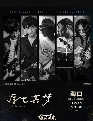 2025盘尼西林海口演唱会