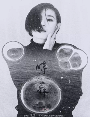 2025安溥青岛演唱会