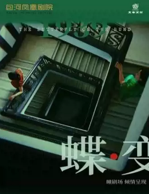 音乐剧《蝶变》合肥站