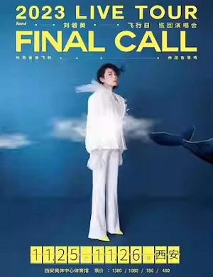 刘若英西安演唱会