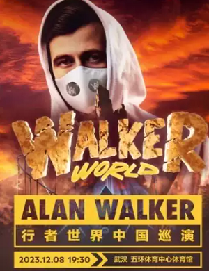 艾伦·沃克武汉演唱会