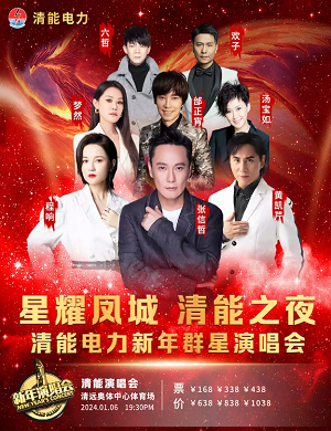 2025星耀凤城清能之夜清远群星演唱会
