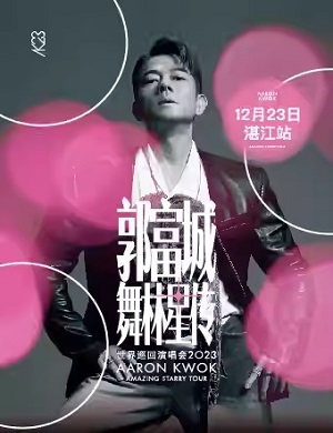 郭富城湛江演唱会