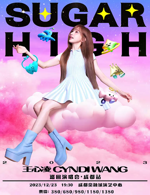 王心凌成都演唱会