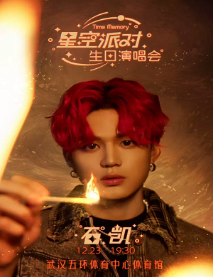 石凯武汉演唱会