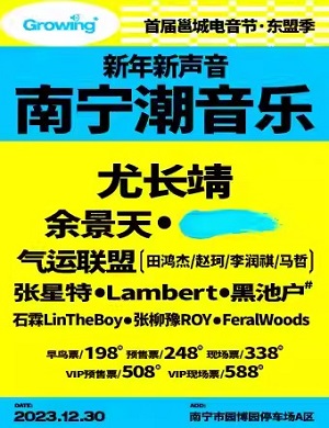 2025南宁首届邕城电音节