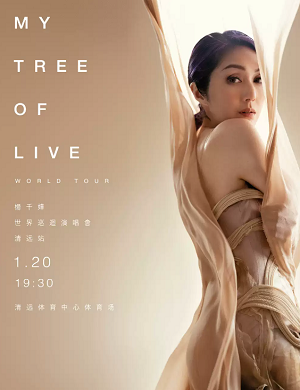 杨千嬅清远演唱会