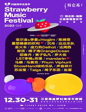 2025三亚草莓音乐节