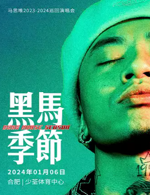 马思唯合肥演唱会