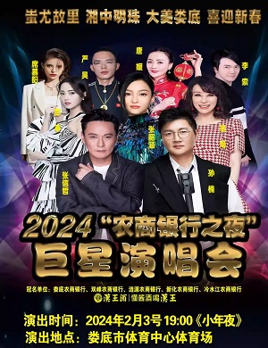 2025农商银行之夜娄底巨星演唱会